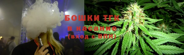 мдпв Володарск