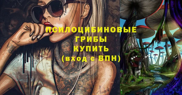 мдпв Володарск