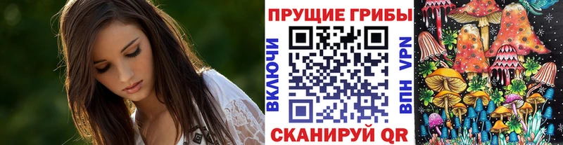 Купить  Иноземцево  Галлюциногенные грибы GOLDEN TEACHER 